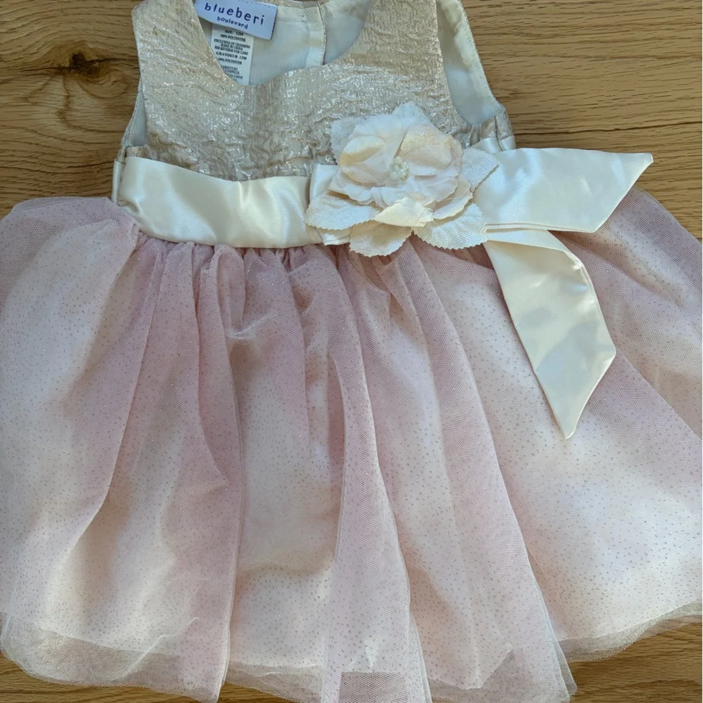 Blueberi Boulevard fancy dress 12 months never worn - Picture 3 of 5